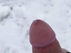 Snow Day