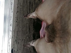 another nude day
