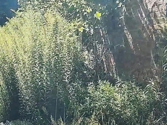 Woods jizz. Walk with final climax