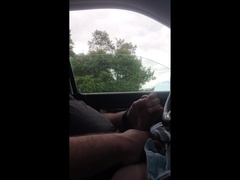Bear In A Pickup Risky Solo Fun At The Lake Parking Lot