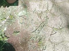 Risky cumshot on the walking trials