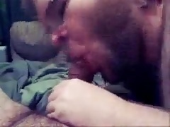 Cute bear sucking