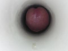 Pene