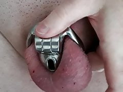Aftermath of Locking ChretienPA's Clit