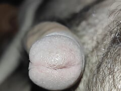 Jerk off - jerk off - jerk off. A lot of urine on my hairy body!