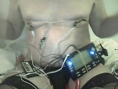 nips and estim