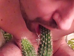 Swineboy give a cactus a bj