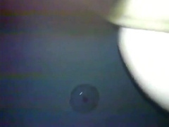 Chinese CD 3