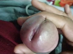 Maharashtra boy - wardha for girls fresh dick