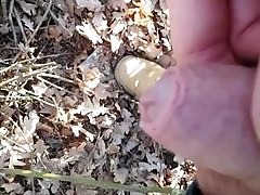 Im Wald Pinkeln