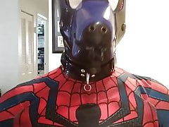 Spidey-Dog part 2
