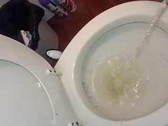 Peeing 101
