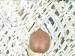 i Fucked self my Own Cock and Mastrubation hard Cumshot easily