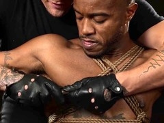 Bj's, the house, oral pleasure