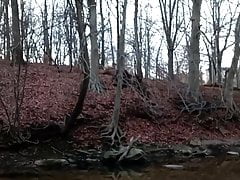 Baltimore naked in woods