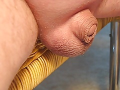 Chair Piss 1