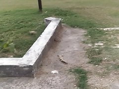 Fun in golf park