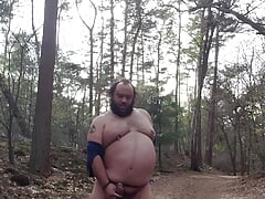 Chubby bear in the woods
