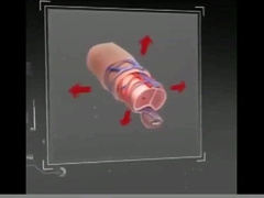 Jamie Satin blows young gaymale pecker before condom-free