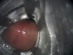 Internal Fleshlight Fuck