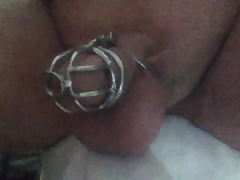 Chastity Lock Up