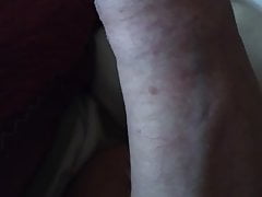 mi polla