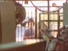 Rubax Video - Pleasure Beach