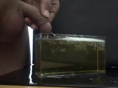 気持ちよくおしっこ遊びをしながら最後はその中に大量射精してしまう変態君。