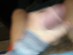 HD Fur Covered Wood Close Up Spunk