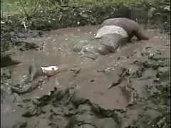 Pati mud wet dress 1