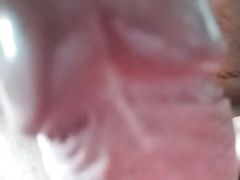 girls suck my dick
