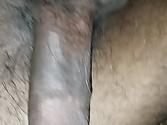 Nice cock bangla