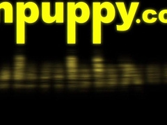 Otter Attempts On Smooching and Munching Fetish