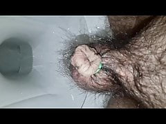 small  Pee attached