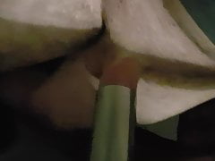 My cock in cow tube!!