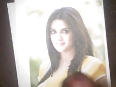 cum on hot telugu sakshi bhabi