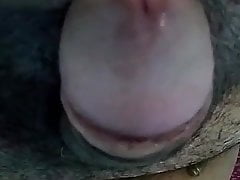 pussyboy
