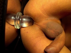 Horny Anal Slut Moaning Dildo Ride To Creamy Cum Shot