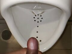 Jurking In My Office Toilet when I saw my hot n sexy colleag