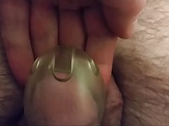 Prostate Milking