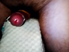 Nice cum estim