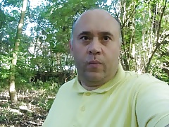 Bear in forest.