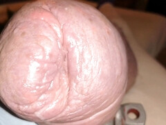 Close up cuming