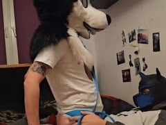Femboy husky fursuiter blows a load while railing his beau