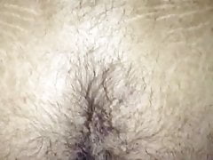 Hairyasser Being Bred