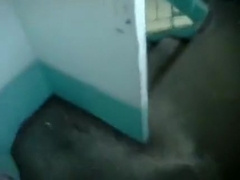Dildo Stuck On The Wall