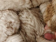 fox fur video1