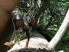 E-stim in forest