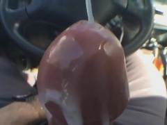 Motorista do picao grosso 7