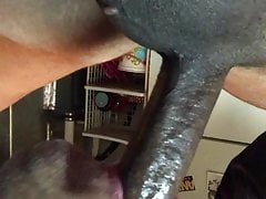 Sucking more bigdick4268